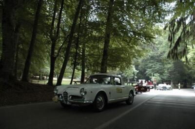 mini-1 DSC 0317 (117) JPG jpg
