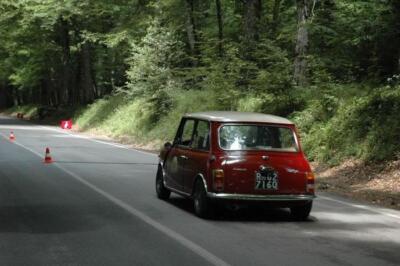 mini-1 DSC 0317 (122) JPG jpg