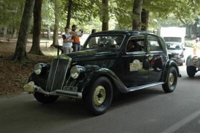 mini-1 DSC 0317 (146) JPG