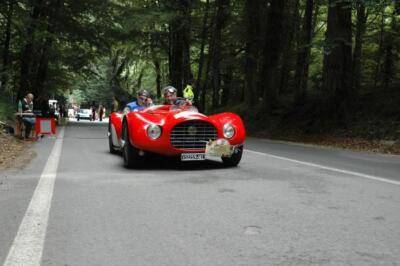 mini-1 DSC 0317 (188) JPG jpg