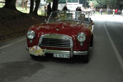 mini-1 DSC 0317 (214) JPG jpg