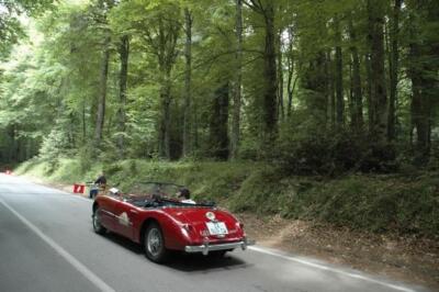 mini-1 DSC 0317 (215) JPG