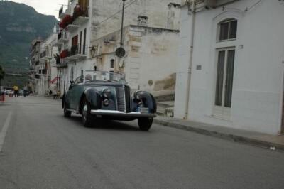 mini-1 DSC 0317 (250) JPG jpg