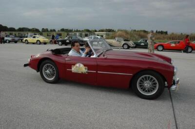 mini-1 DSC 0317 (74) JPG jpg
