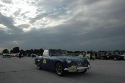 mini-1 DSC 0317 (75) JPG